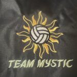 Team Mystic close up Logo